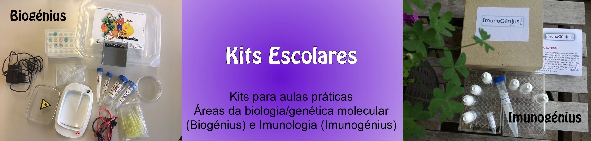 Kits escolares genius